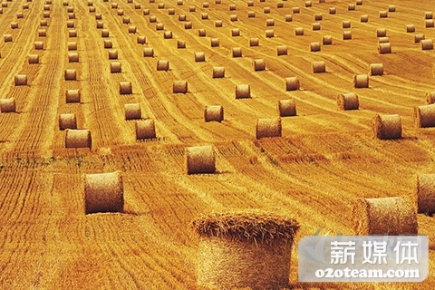电商巨头纷纷入局,农资电商真的能火吗?