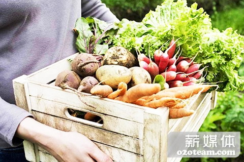 史上最强餐饮食材O2O实操攻略