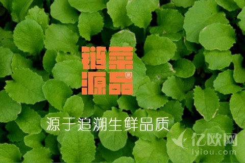 食材B2B平台融资1000万:不是链农美菜,是链菜