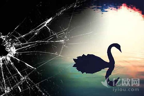 黑天鹅:为什么我们总是善于总结而非预测