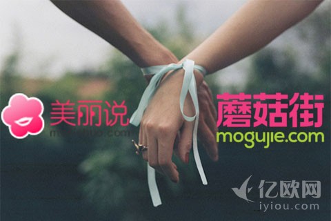 社交电商遇模式混乱蘑菇美丽说前景难料
