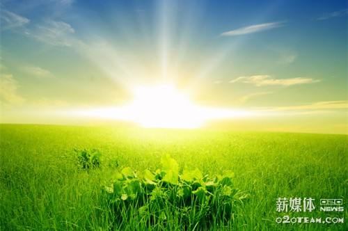 [干货]食材采购平台的正确打开方式：透明、互利与共赢