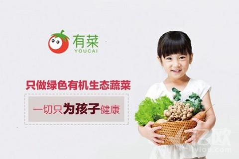 独家|生鲜宅配电商“有菜”宣布完成战略融资