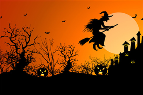 “左袋文化”获千万元A轮投资，合鲸资本领投