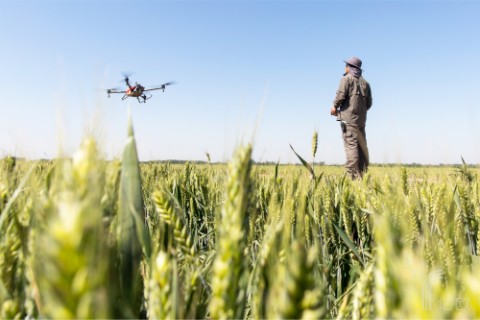 无人机植保受地方政府认可，极飞牵头百万亩麦田统防统治