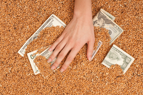金融支持农业为什么效率低？