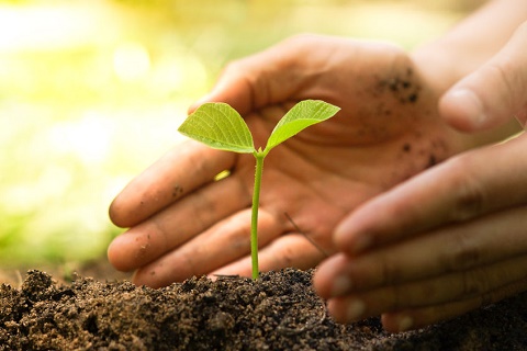 农村电商首次列入中央一号文件，物流“下乡”成下一个风口？-O2O薪媒体