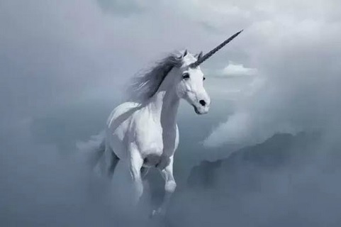资金轮番推动,依然难掩互联网保险平台远离独角兽的落寞事实