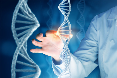 基因检测正爬向价值链高端，医疗精准化还会远吗？